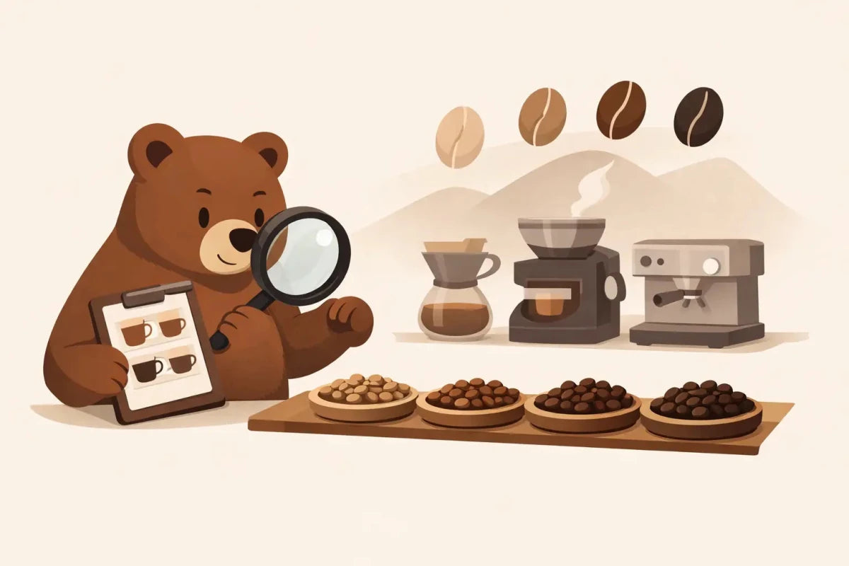 A Guide to Coffee Roast Levels - Brown Bear Coffee