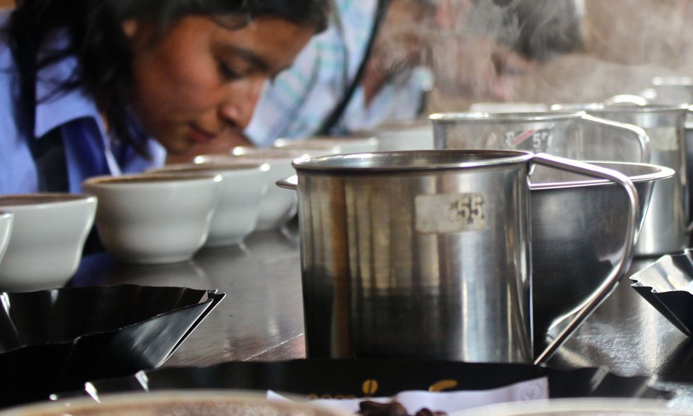 A little guide to South American coffees - Brown Bear Coffee