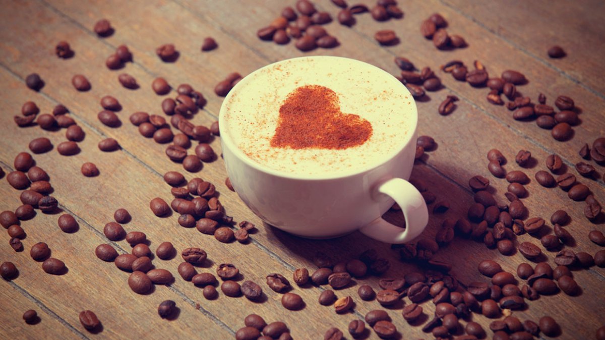 Brown Bear is Born - Brown Bear Coffee