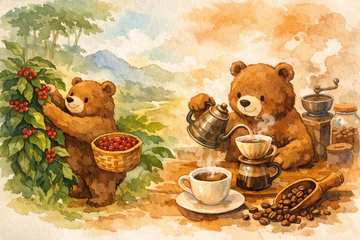 Coffee History From Forest Fruit to Morning Cup - Brown Bear Coffee