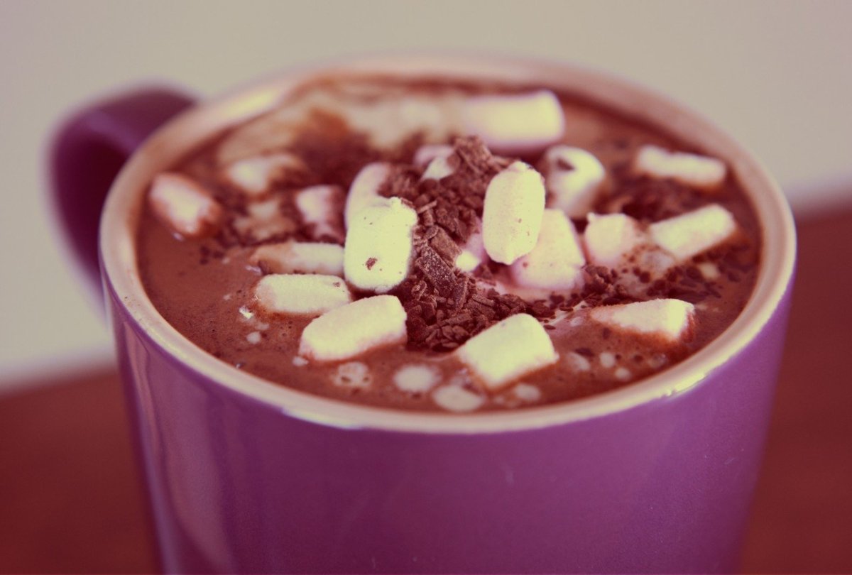 EVERYONE LOVES HOT CHOCOLATE - Brown Bear Coffee