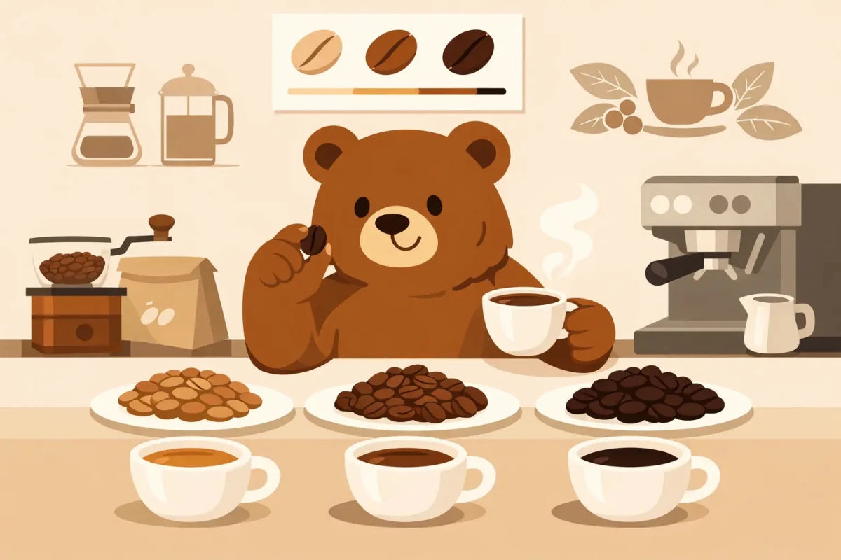 How to Choose Coffee Roast for Your Taste - Brown Bear Coffee