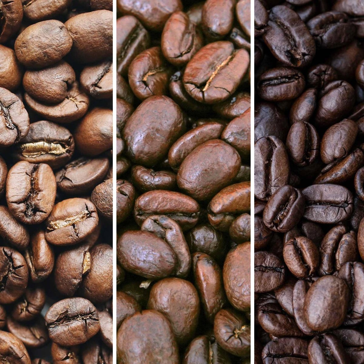 Light, Medium and Dark Roast Coffee - Brown Bear Coffee