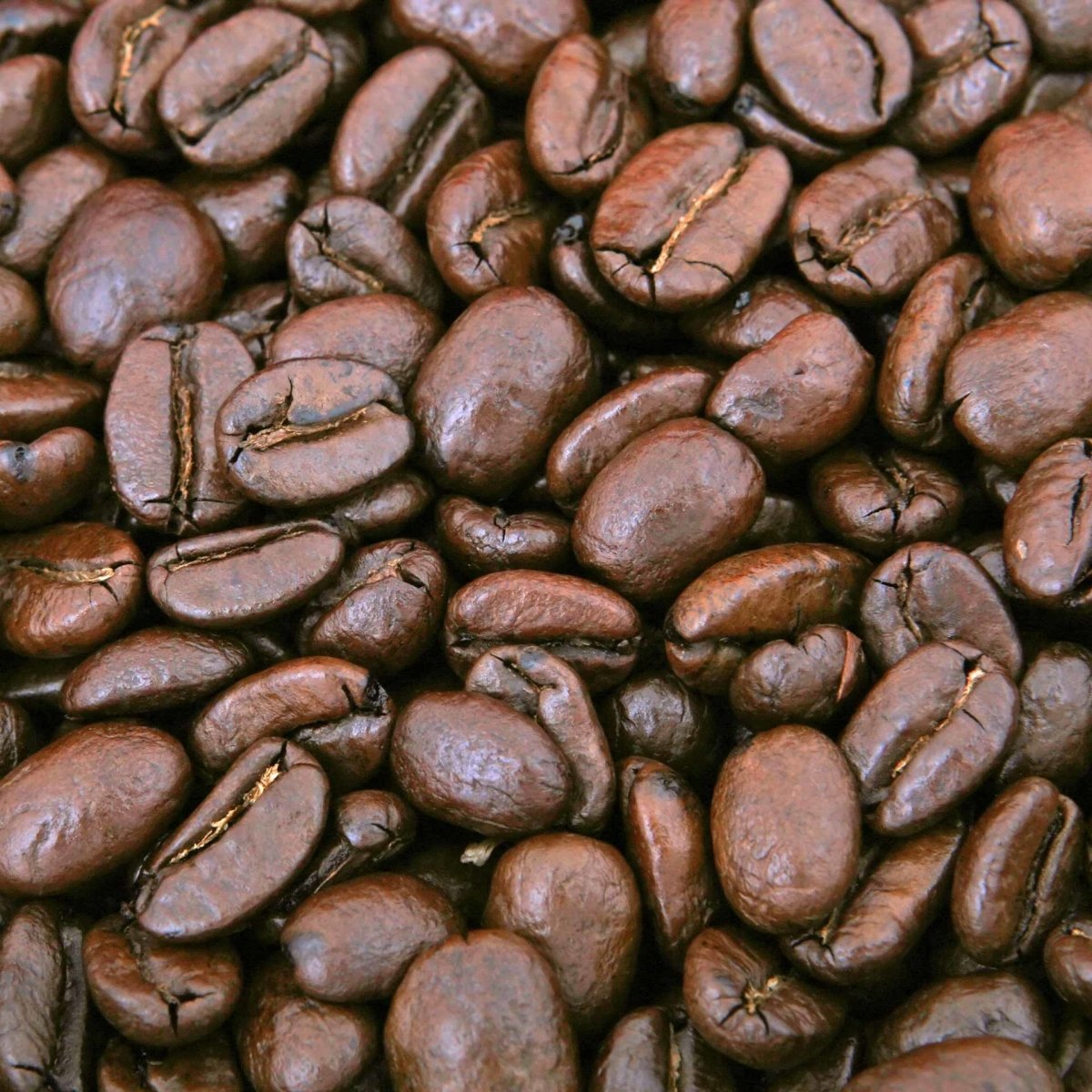 Medium Roast - Brown Bear Coffee