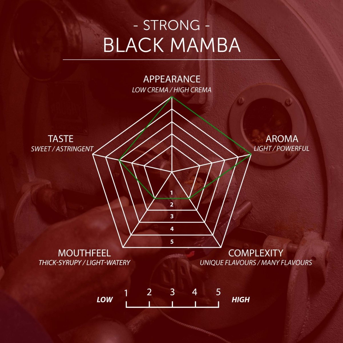 Black Mamba Strong Coffee, Strength 5, Dark Roast - Brown Bear Coffee