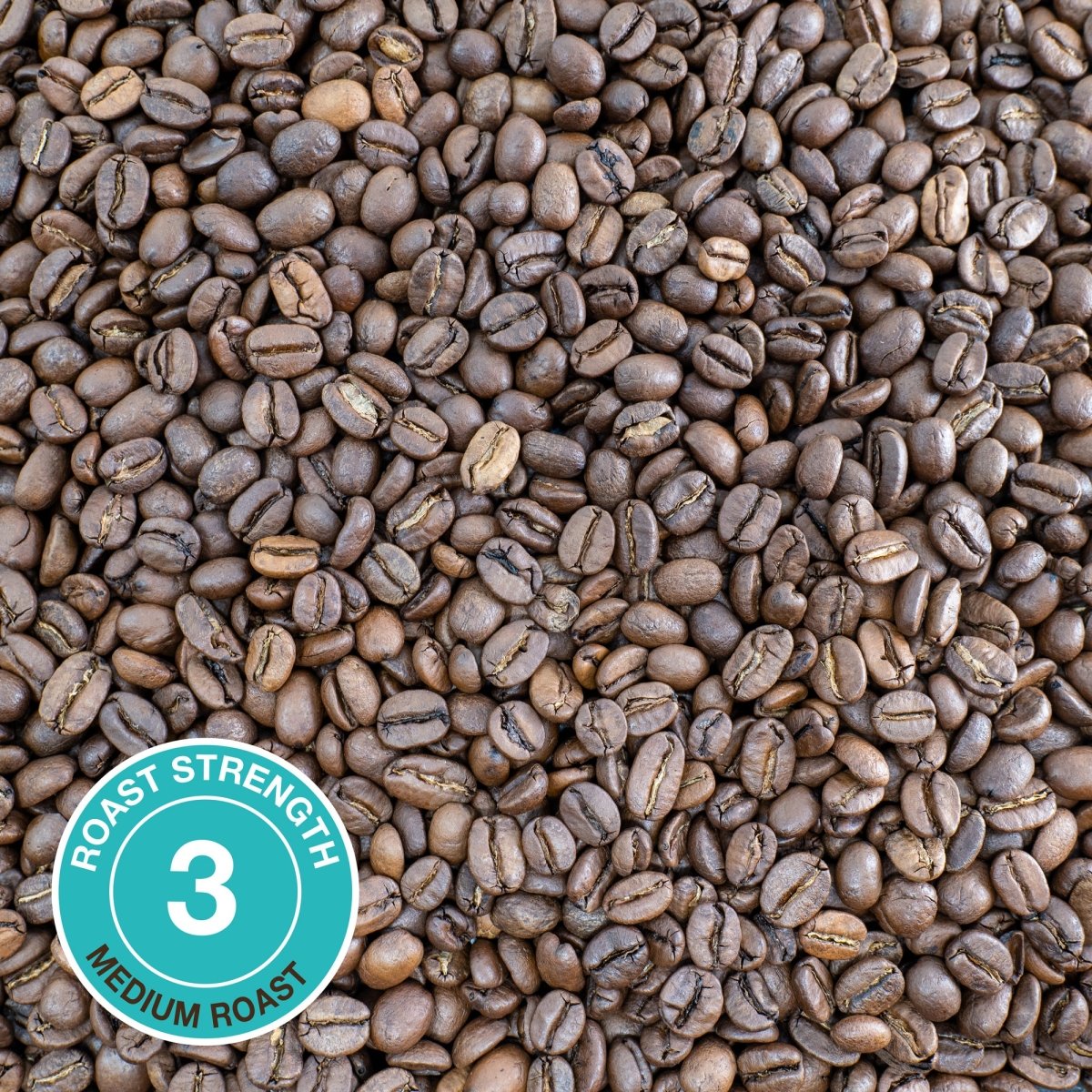 Blue Mountain Coffee, Strength 3, Medium Roast - Brown Bear Coffee