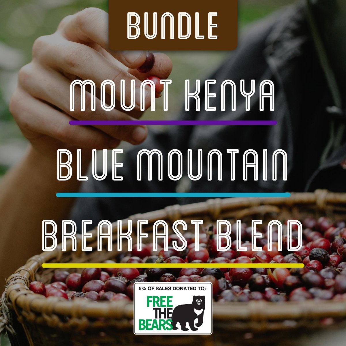 Brown Bear Light-Medium Roast Bundle - Brown Bear Coffee