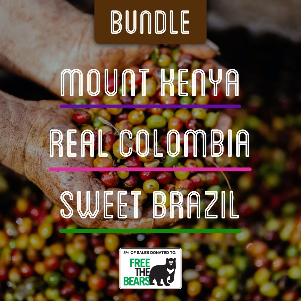 Brown Bear Medium Roast Bundle - Brown Bear Coffee