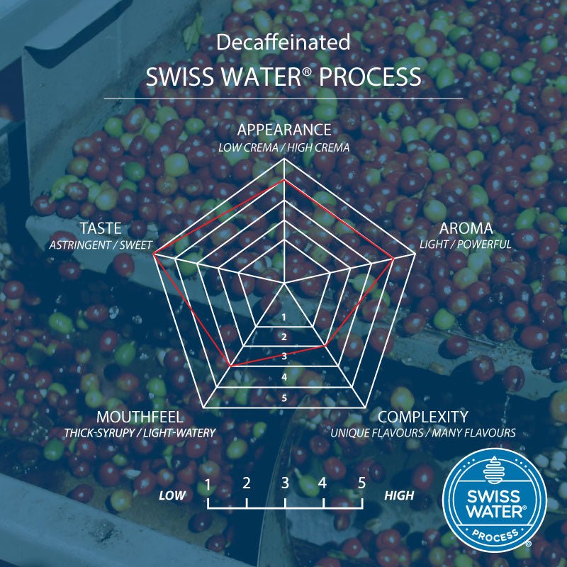 Cool Brazil Swiss Water Decaf Coffee Bags, Strength 3, Medium Roast - Brown Bear Coffee