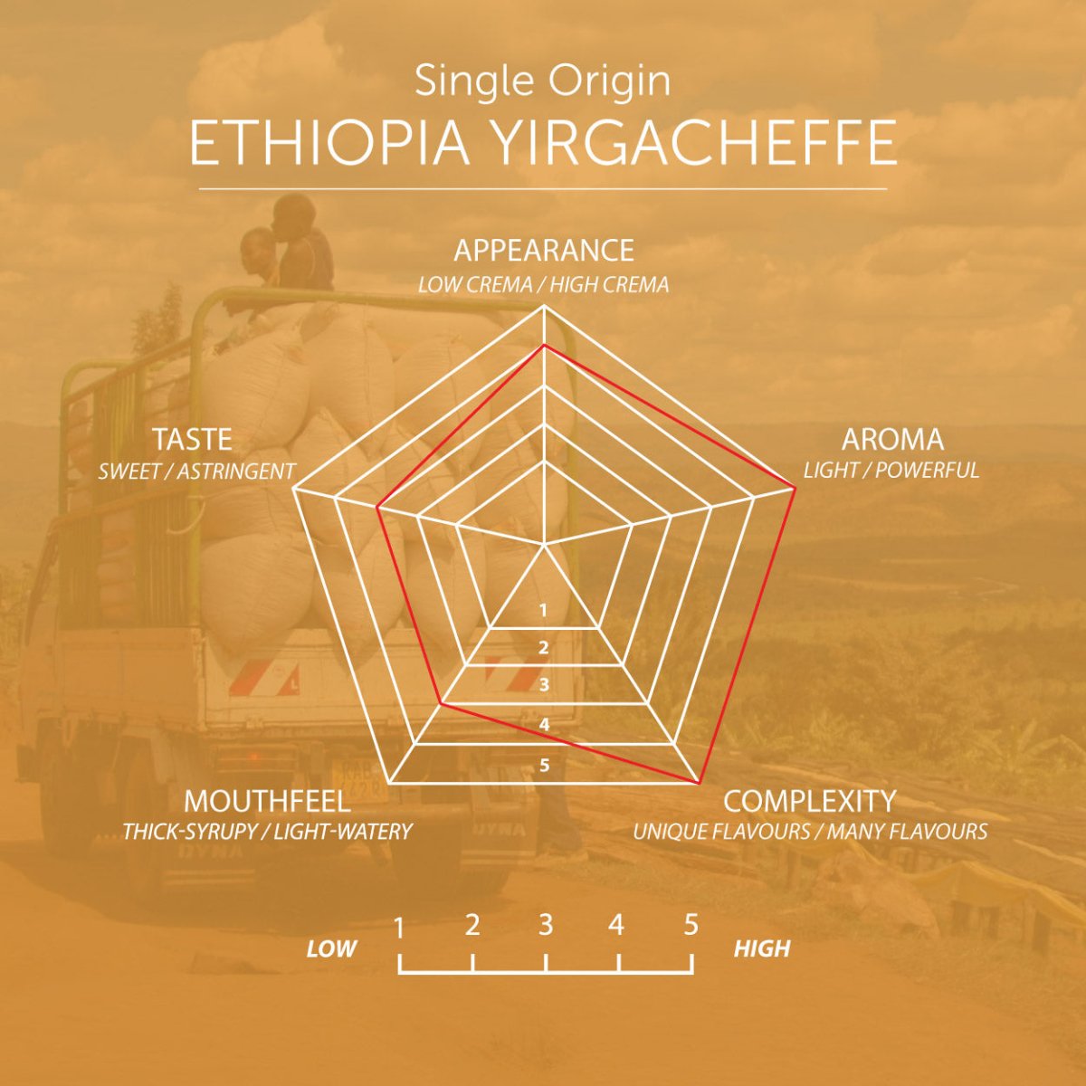 Ethiopian Yirgacheffe Coffee, Strength 3, Medium Roast - Brown Bear Coffee