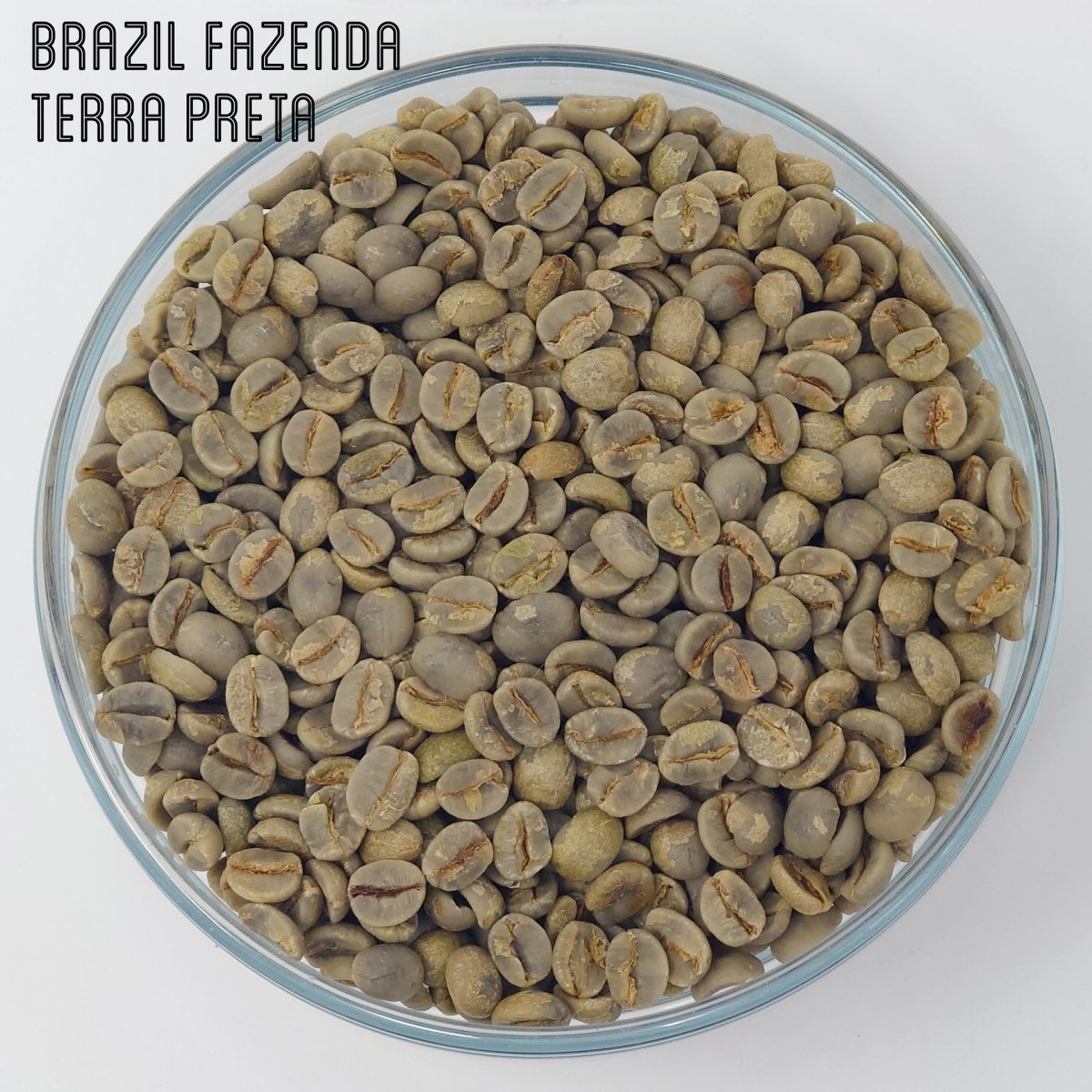 Green Unroasted Coffee Beans | Brazil Fazenda | For the Home Roaster, 1kg - Brown Bear Coffee