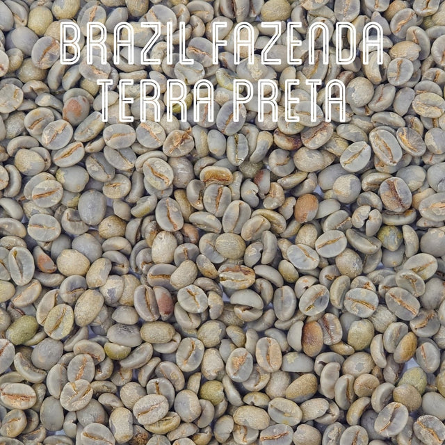 Green Unroasted Coffee Beans | Brazil Fazenda | For the Home Roaster, 1kg - Brown Bear Coffee