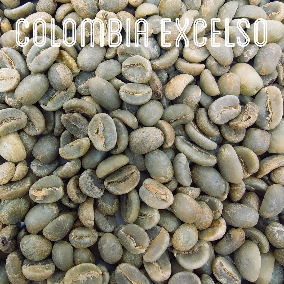 Green Unroasted Coffee Beans | Colombian Excelso | For the Home Roaster, 1kg - Brown Bear Coffee