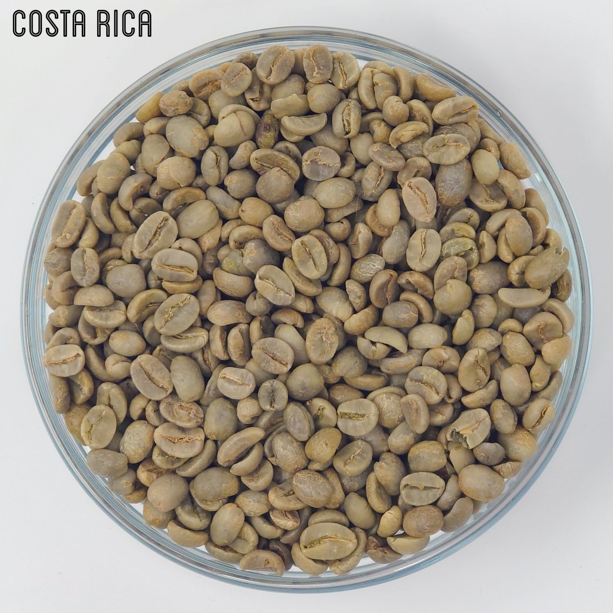Green Unroasted Coffee Beans | Costa Rica | For the Home Roaster, 1kg - Brown Bear Coffee