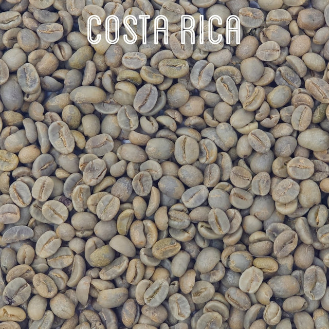 Green Unroasted Coffee Beans | Costa Rica | For the Home Roaster, 1kg - Brown Bear Coffee