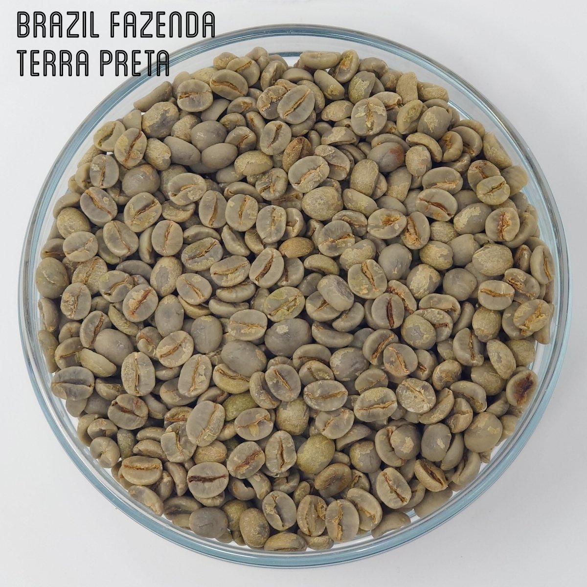 Green Unroasted Coffee | Brazil Fazenda | For the Home Roaster, 227g - Brown Bear Coffee