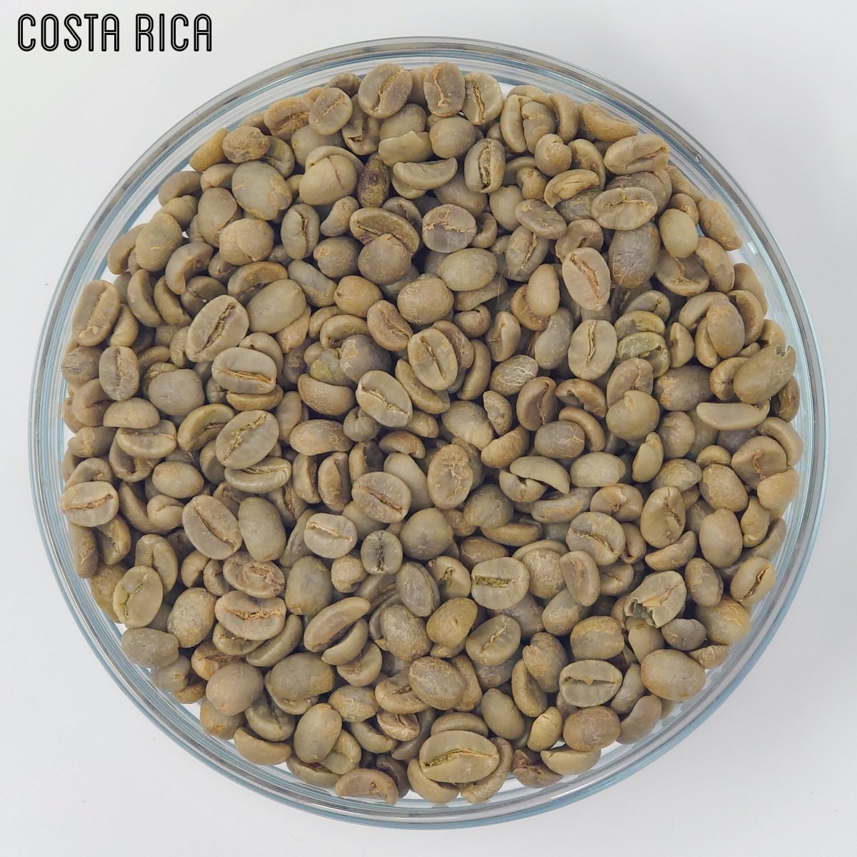 Green Unroasted Coffee | Costa Rica | For Home Roasters, 227g - Brown Bear Coffee