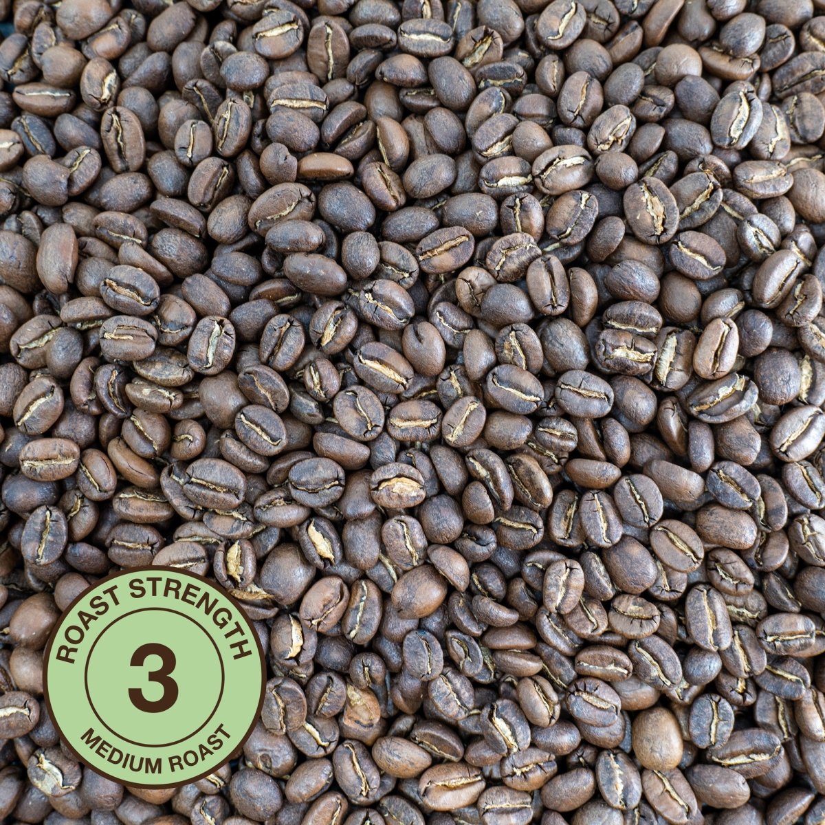 Guatemala Antigua Coffee, Strength 3, Medium Roast - Brown Bear Coffee