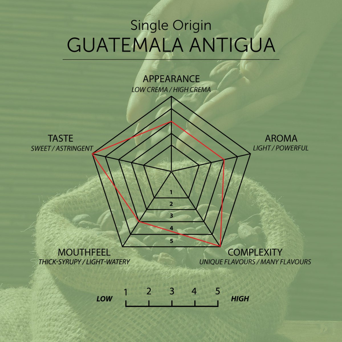 Guatemala Antigua Coffee, Strength 3, Medium Roast - Brown Bear Coffee