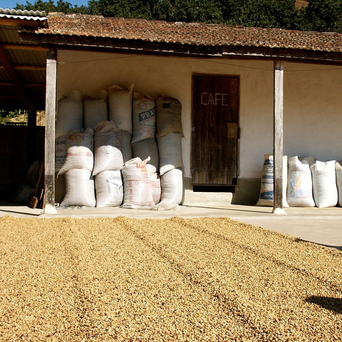 La Vida Espresso Coffee, Strength 4, Medium Dark Roast - Brown Bear Coffee