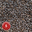 New Latin Espresso Coffee, Strength 5, Dark Roast - Brown Bear Coffee