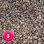 Real Colombia Coffee, Strength 3, Medium Roast - Brown Bear Coffee