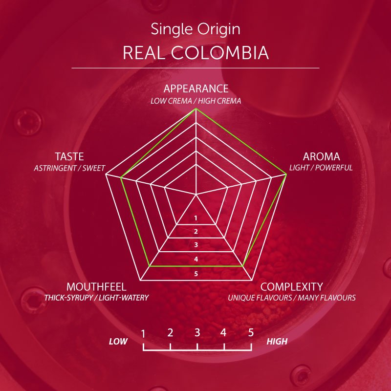 Real Colombia Coffee, Strength 3, Medium Roast - Brown Bear Coffee