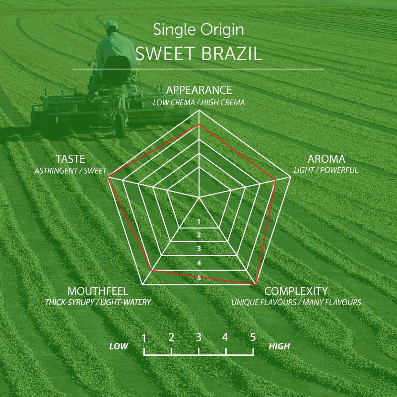Sweet Brazil Coffee, Strength 2, Medium Roast - Brown Bear Coffee